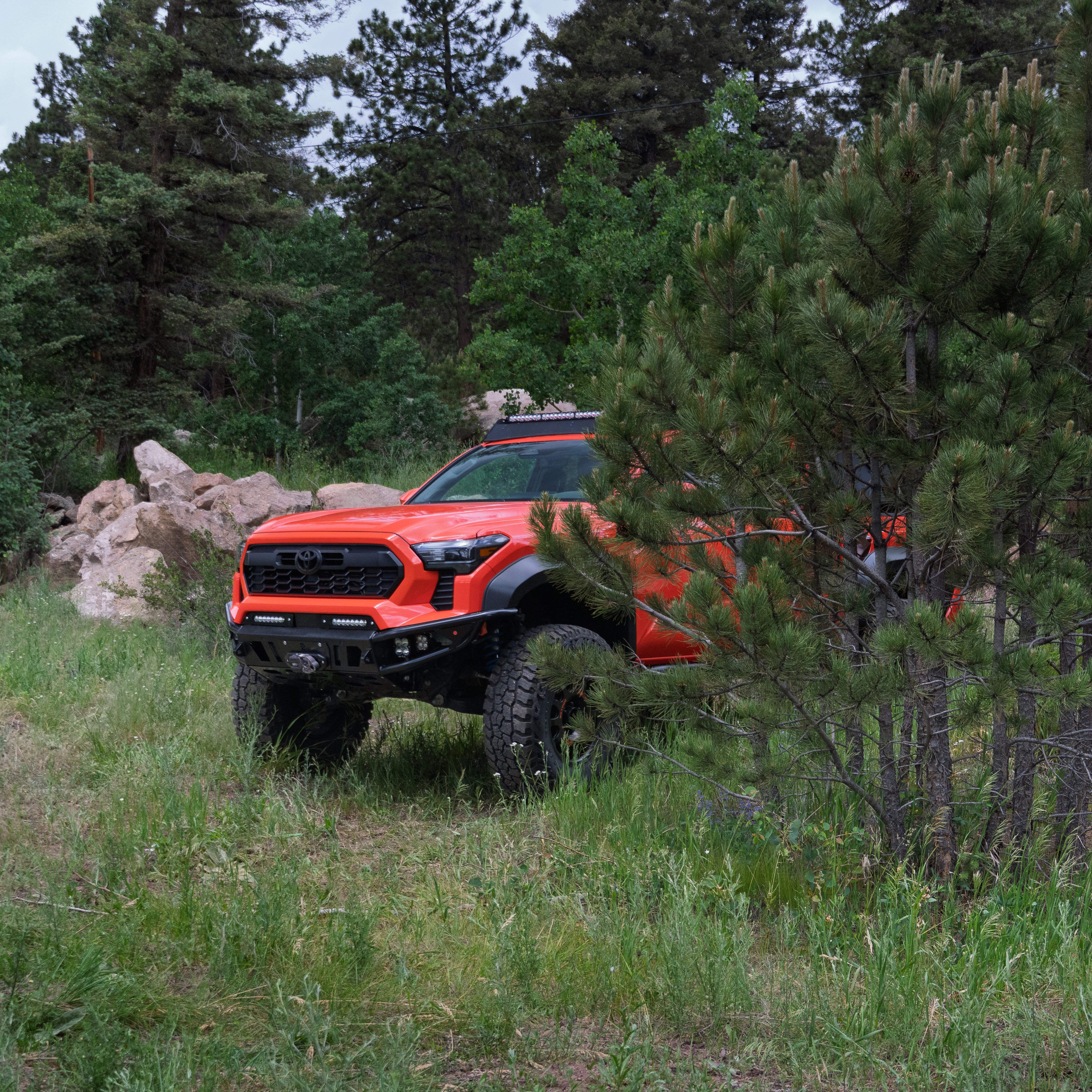 2024-2025 / 4th Gen / Tacoma Hybrid Bumper